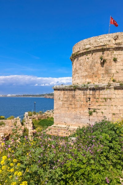 half of a circular tower built from beige stone in two round tiers with a red turkish flag on top and grass and wildflowers in front of the tower which is on a clifftop above the sea with blue sea and a distant coastline visible to the left of the tower. 