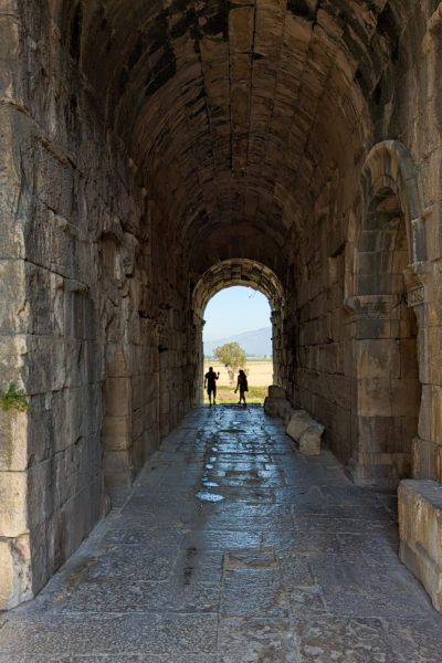 looking down a large stone tunnel with a high arched ceiling. there is a grassy field with a tree and a distant hill visible through the small archway at the far end of the tunnel with two human figures silhouetted against it. 
