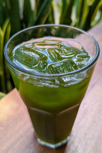 tall glass filled with a watery green drink and ice called agua de chaya on a wooden table with green snake plants behind