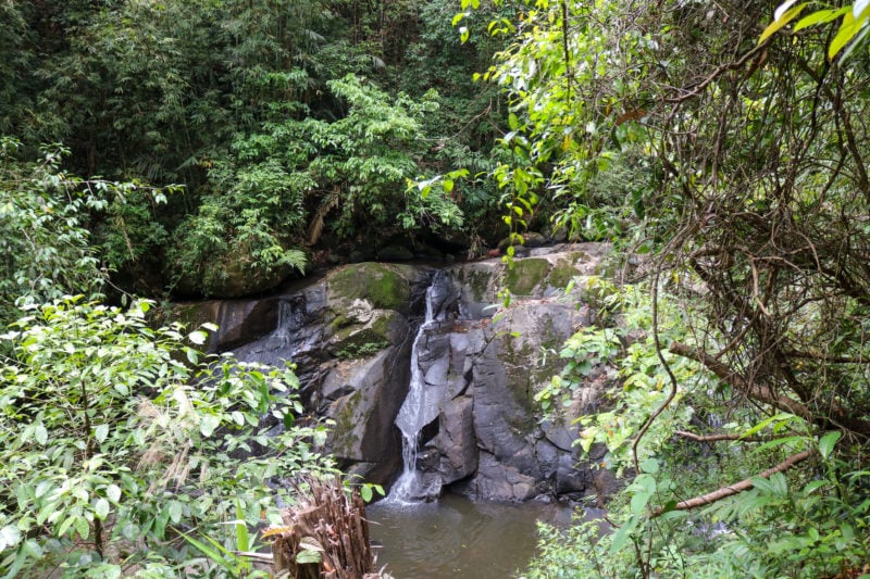 looking between gren bushes towards a small river with a grey rock cliff and a small waterfall emptying into th eriver