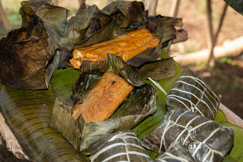 close up of several tamales wrapped in banana leaves with two open ones on top revealing the sticks of soft, steamed dough inside