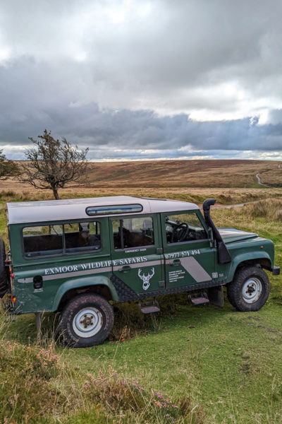 dark green jeep with the name Exmoor Wildlife Safaris printed in white on the side parked on the edge of a field with a bare tree just behnd and wild moors of yellowed long grass beyond that, taken on a cloudy day with a moody grey sky above