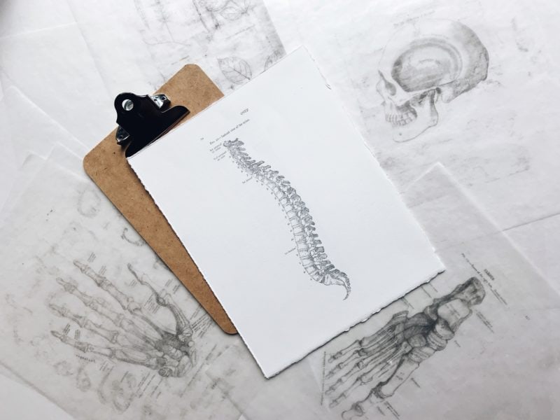 flatlay of a table covered with paper with grey pencil sketches of different body parts, there is a wooden clipboard on top with a white piece of paper with a drawing of a spine on it