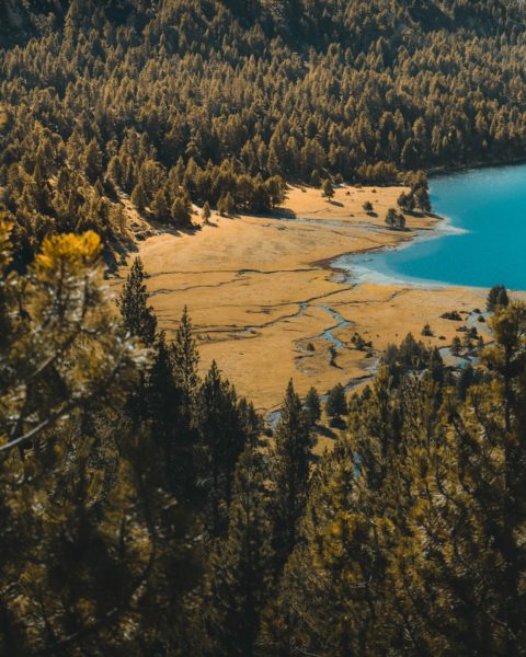 aerial view of a pine forest around a bright blue lake with a large sandy beach next to it