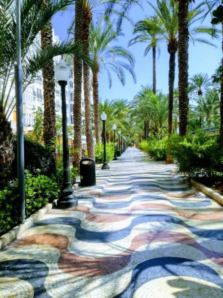 multicoloured concrete pathway in a wave pattenr with palm trees on either side in alicante spain
