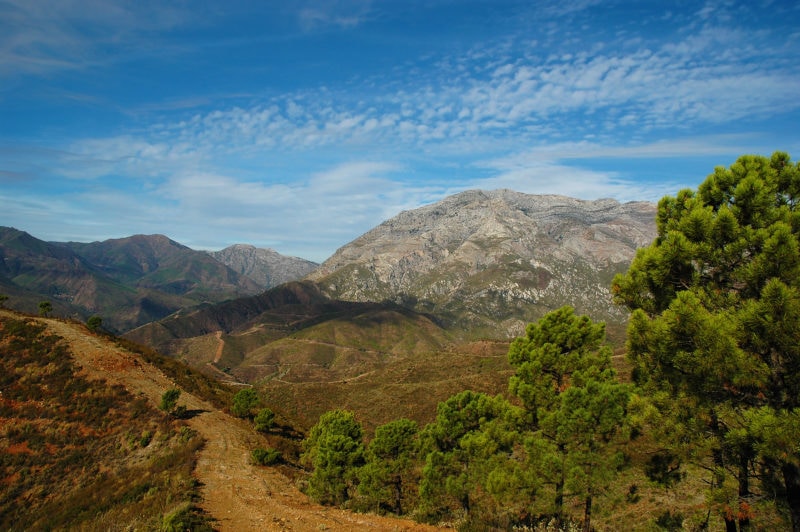 dirt track in a mountain landscape next to a forest with a grey rocky mountain behind and blue sky above. best national parks in spain. 