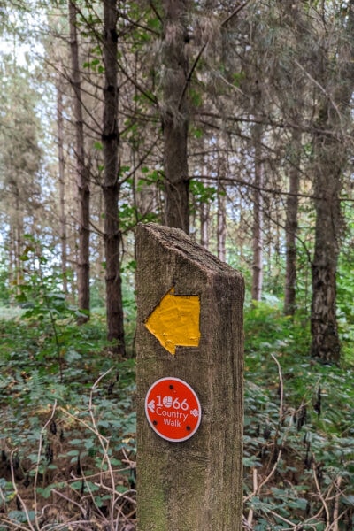 wooden trail marker post in a pine forest with a yellow arrow and a red circle which says "1066 country walk"