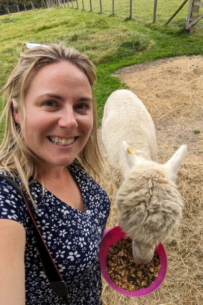 emily wearing a blue dress taking a selfie while feeding a white alpaca from a pink bowl
