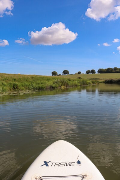 front of a paddleboard on a river with a grassy bank and trees in the distance on a very sunny day