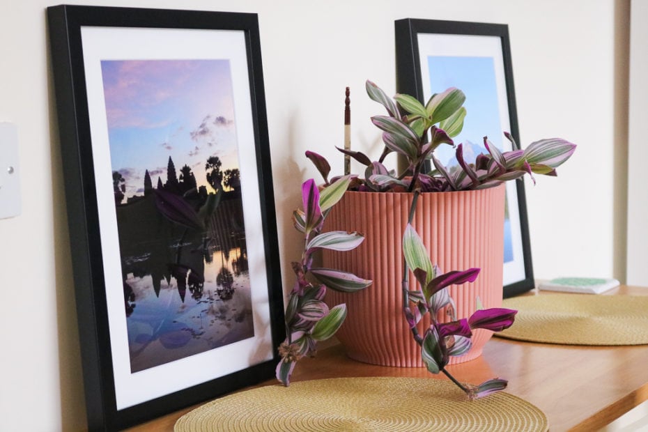 two framed A4 sized photos on a narrow pine wood table with cream chairs against a cream wall with a pink plant pot filled with a purple and green trailing plant in between them. one photo has angkor wat at sunrise and the other has a mountain reflected in a blue lake.