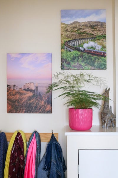 two canvas prints on a white wall above a shelf with a plant pot and stone llama ornament, one print has a steam train in a green valley and the other has some chalk rock stacks at sunset with a pink sky