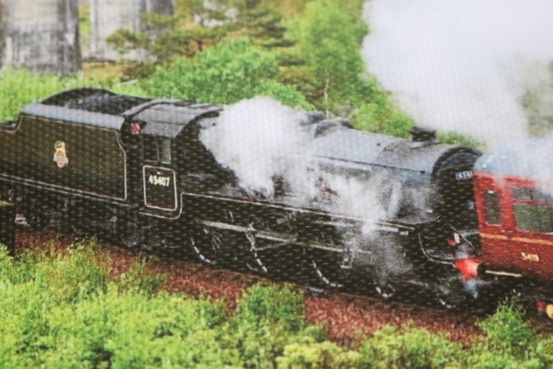 close up of a canvas print with a black steam train surrounded by green bushes. MYPICTURE canvas prints review.