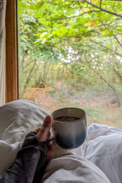 hand holding a mug of coffee over white bedsheets in front of a large window with a view of dense green woodland