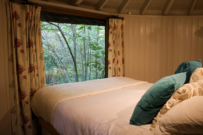 bed with white bedding and teal cushions in a wooden cabin with a large window at the foot of the bed with a view of dense green woodland outside