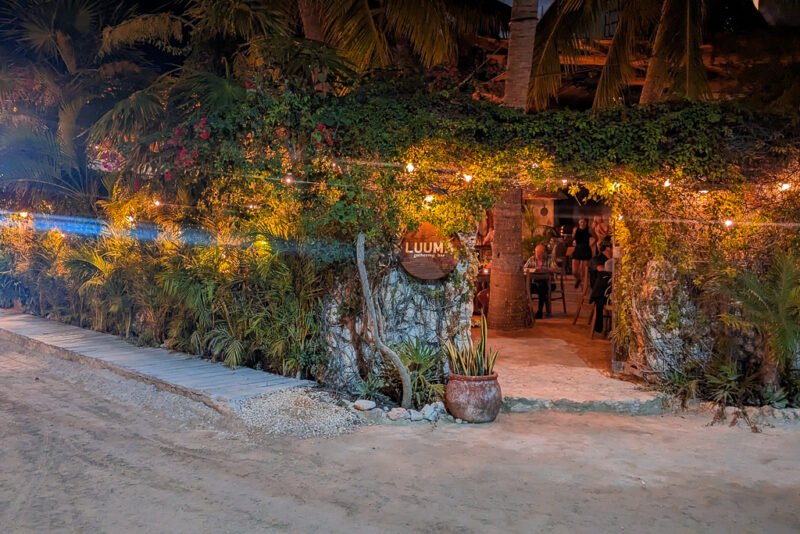 Exterior of Luuma restaurant in Holbox, the outside wall is covered in vines and plants and hung with fairy lights