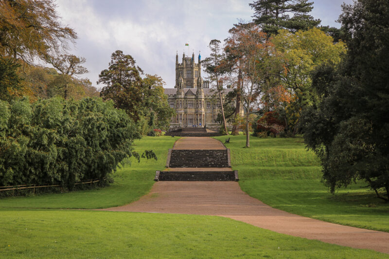 view of a large stone castle glimpsed between the trees lining the long pathway leading up to the castle. Things to do in Neath Port Talbot