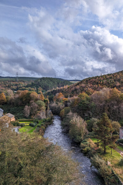 view of a river from a bridge above with dense forest on either side in autumn with golden leaves. Things to do in Neath Port Talbot. 