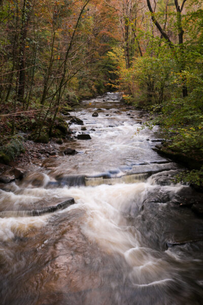 looking up along a wide river in a wooded valley. Things to do in Neath Port Talbot