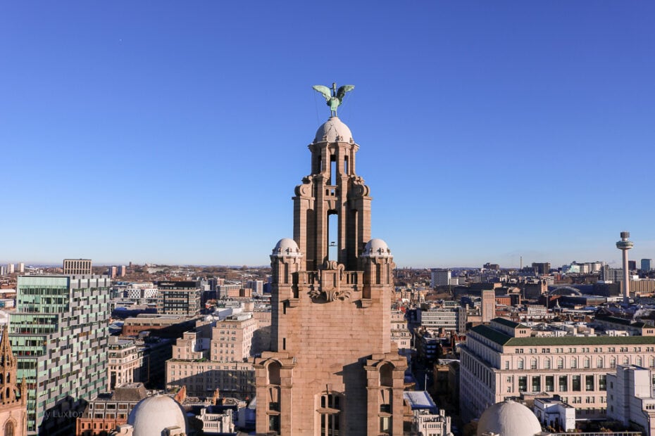 Beige stone tower with an arched top and a green statue of a bird on top in front of a city skyline with clear blue sky above