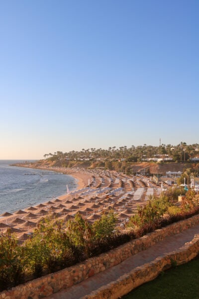 view of a curved sandy beach lined with rows of umbrellas and sunbeds next to the blue sea taken just after sunrise with a golden glow.  domina coral bay sharm el sheikh