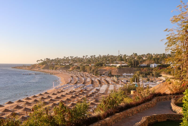 view of a curved sandy beach lined with rows of umbrellas and sunbeds next to the blue sea taken just after sunrise with a golden glow. Domina Coral Bay Resort in Sharm el Sheikh Egypt.