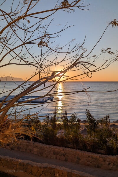 view through some tree branches of the sun rising over the sea