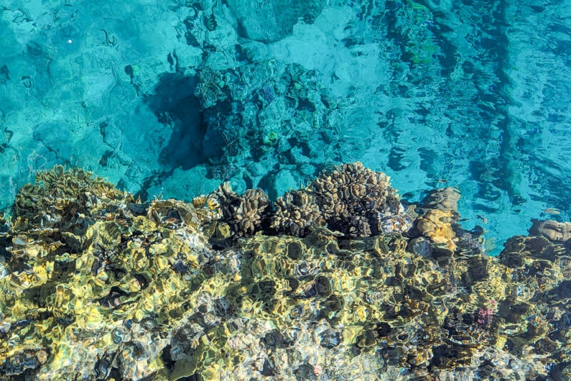 looking down at the sea with the edge of a coral reef on one half and very clear turquoise water on the other