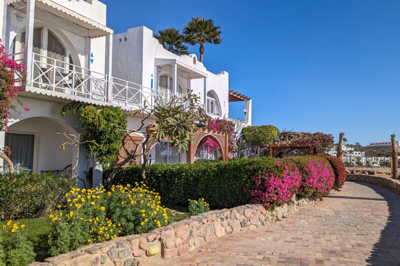 two storey white hotel buildings with balconies next to a small garden filled with hedges and pink and yellow flowers with a stone path running in front. Taken on a very sunny day at Domina Coral Bay Sharm el Sheikh with blue sky above.