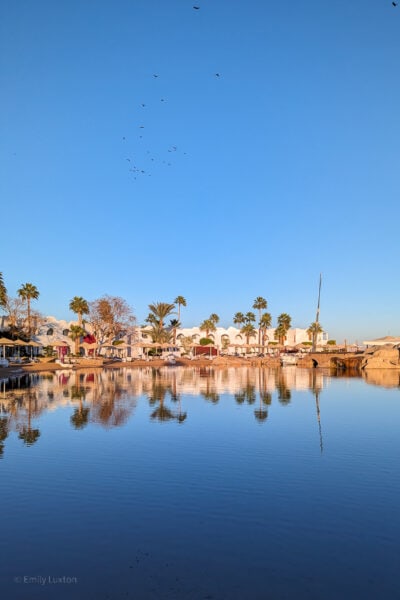 very still lake with palm trees and two storey white buildings on the far side reflected in the water, taken at golden hour just before sunset with very clear blue sky above