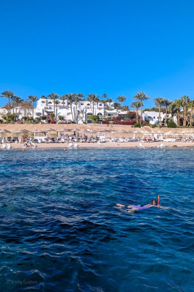 beach with a white hotel and palm trees omn the low hill above viewed from the sea with someone swimming in the foreground.  domina coral bay sharm el sheikh