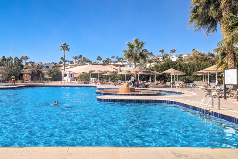 large blue swimming pool surrounded by palm trees on a sunny day with clear sky above