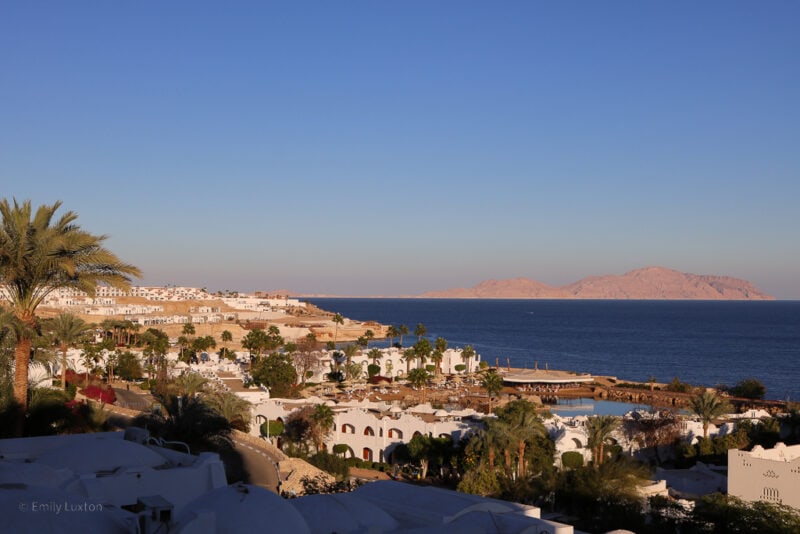 view across Domina Coral Bay hotel resort in Sharm el Sheikh with several white buildings and palm trees next to the deep blue sky with a small brown island in the distance on a sunny day with clear blue sky