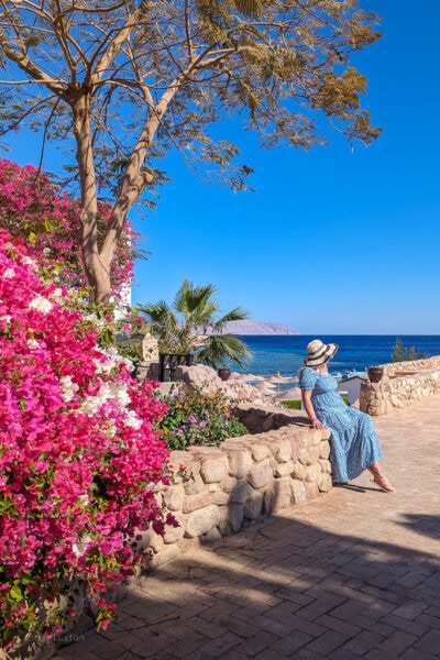 emily in a long light blue dress and floppy sunhat sitting on a stone wall next to a large bush of bright pink flowers with the blue sea behind