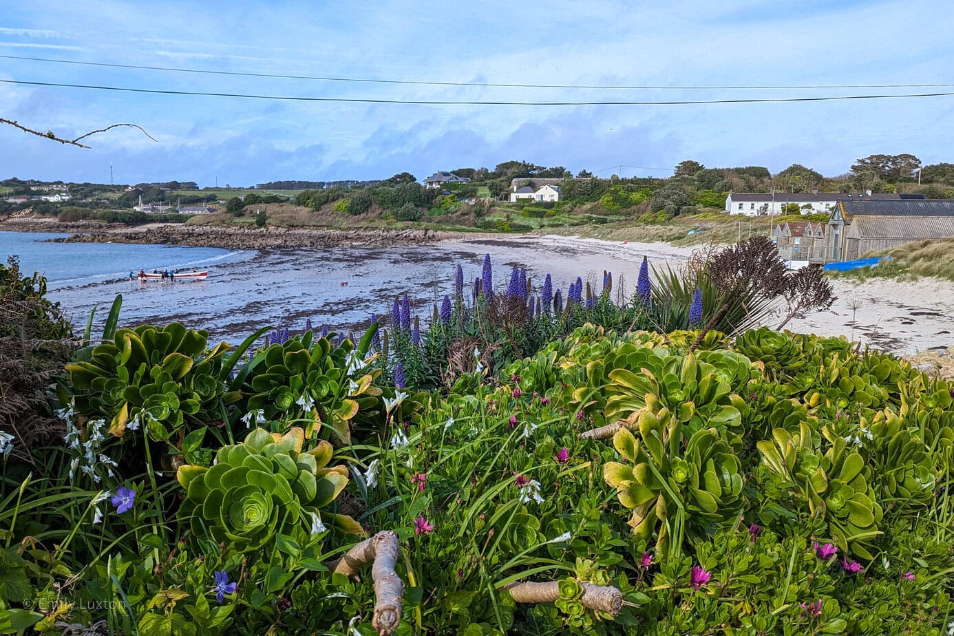 Euan Rodger Visit Scilly The Economics of Essential Air Services