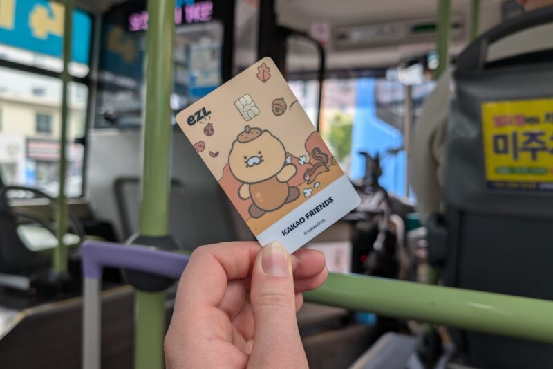 hand holding an EXL Travel Money card with a cartoon bear on