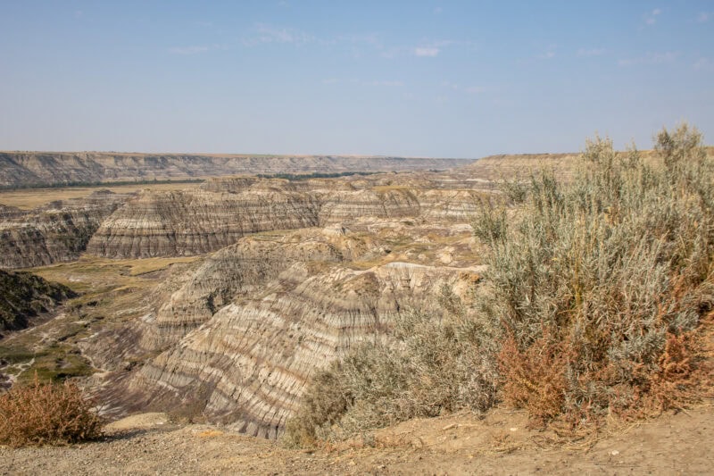 Dry landscape with layered sandstone pillars and a large green plant in the foreground