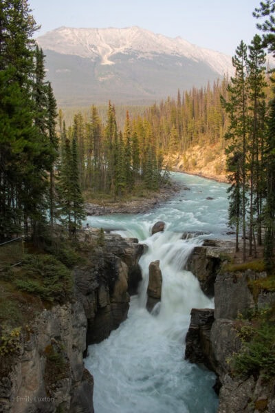 View of a waterfall with pine trees around and a moutnain behind