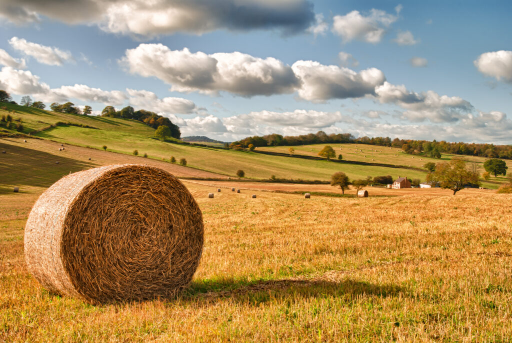 Perfect harvest landscape with straw bales amongst fields in UK
