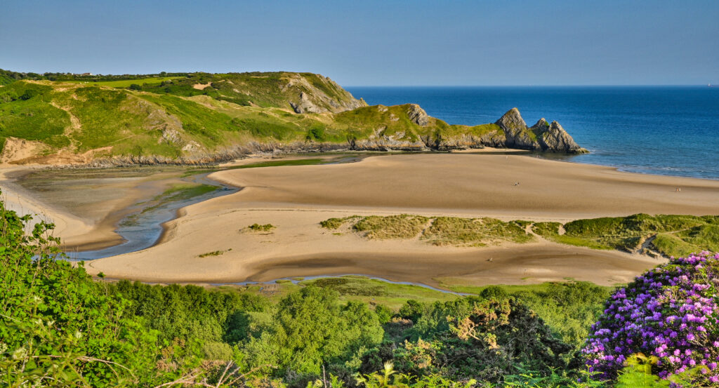 large empty sandy beach enclosed by grassy headland