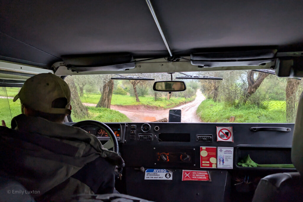 Front window of a jeep with a view of a muddy road and leafy trees