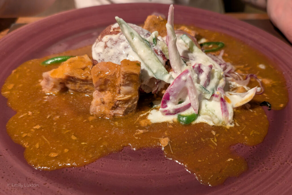 Curry with raita on a red plate ~ Sindhu Speciality Restaurant on P&O Iona